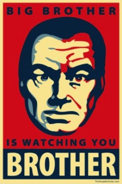 big brother obama parody poster-p228489253510086489tdcp 400