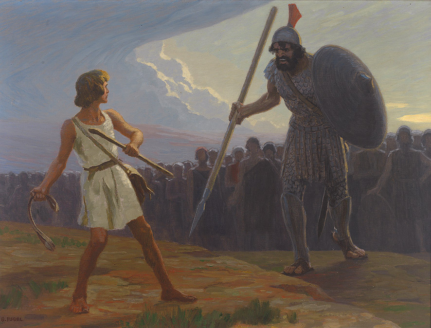 Fugel David gegen Goliath