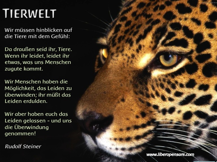 Tierwelt Rudolf Steiner