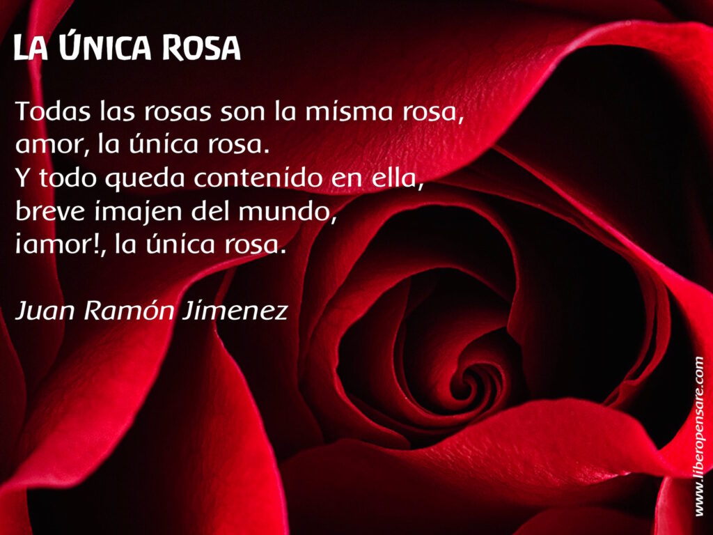 La unica rosa Juan Ramon Jimenez