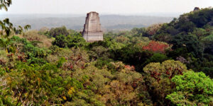 2000 Tikal GUATEMALA