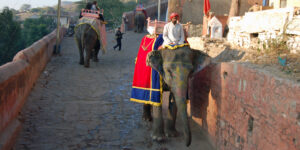 2005 Jaipur (5), INDIA