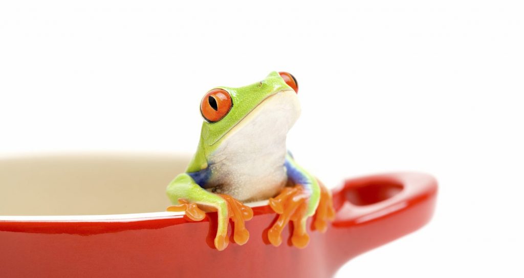 Boiling Frog Pan Water 1698x900